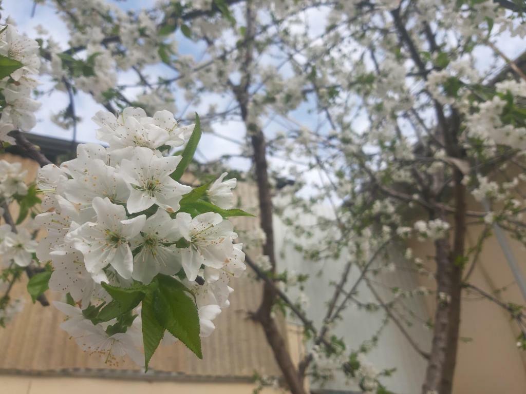 City Hostel Dushanbe Ngoại thất bức ảnh