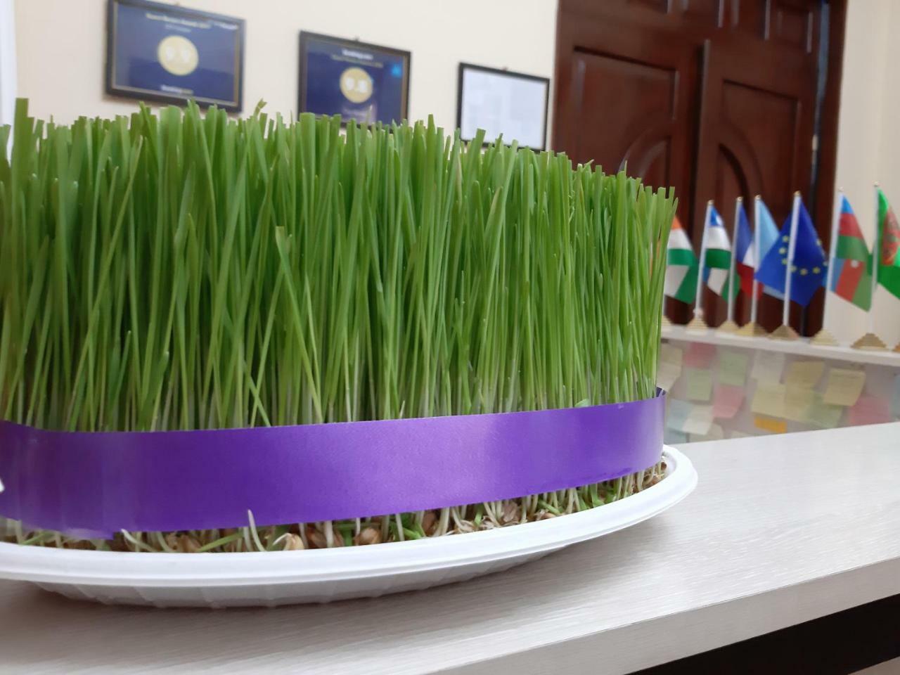 City Hostel Dushanbe Ngoại thất bức ảnh